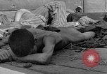 Image of dead bodies Dachau Germany, 1945, second 56 stock footage video 65675055238