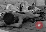 Image of dead bodies Dachau Germany, 1945, second 59 stock footage video 65675055238