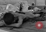 Image of dead bodies Dachau Germany, 1945, second 60 stock footage video 65675055238