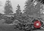 Image of dead bodies at Dachau Dachau Germany, 1945, second 16 stock footage video 65675055239