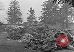Image of dead bodies at Dachau Dachau Germany, 1945, second 17 stock footage video 65675055239