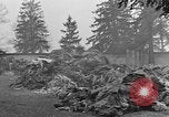 Image of dead bodies at Dachau Dachau Germany, 1945, second 18 stock footage video 65675055239