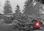 Image of dead bodies at Dachau Dachau Germany, 1945, second 19 stock footage video 65675055239