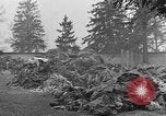 Image of dead bodies at Dachau Dachau Germany, 1945, second 20 stock footage video 65675055239