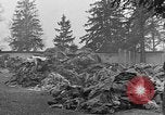 Image of dead bodies at Dachau Dachau Germany, 1945, second 21 stock footage video 65675055239