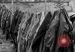 Image of dead bodies at Dachau Dachau Germany, 1945, second 22 stock footage video 65675055239
