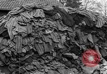Image of dead bodies at Dachau Dachau Germany, 1945, second 29 stock footage video 65675055239