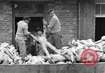 Image of dead bodies at Dachau Dachau Germany, 1945, second 35 stock footage video 65675055239