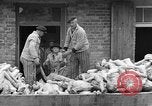 Image of dead bodies at Dachau Dachau Germany, 1945, second 36 stock footage video 65675055239