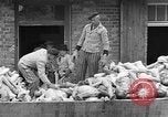 Image of dead bodies at Dachau Dachau Germany, 1945, second 38 stock footage video 65675055239