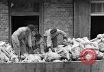 Image of dead bodies at Dachau Dachau Germany, 1945, second 40 stock footage video 65675055239