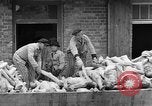 Image of dead bodies at Dachau Dachau Germany, 1945, second 41 stock footage video 65675055239