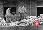 Image of dead bodies at Dachau Dachau Germany, 1945, second 45 stock footage video 65675055239