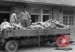 Image of dead bodies at Dachau Dachau Germany, 1945, second 55 stock footage video 65675055239