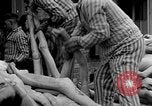 Image of dead bodies at Dachau Dachau Germany, 1945, second 57 stock footage video 65675055239