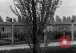 Image of liberated prisoners of Dachau concentration camp Dachau Germany, 1945, second 6 stock footage video 65675055240