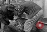 Image of prisoners Dachau Germany, 1945, second 19 stock footage video 65675055241