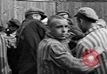 Image of prisoners Dachau Germany, 1945, second 29 stock footage video 65675055241