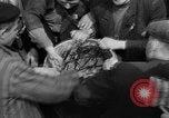 Image of prisoners Dachau Germany, 1945, second 62 stock footage video 65675055241