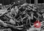 Image of prisoners Dachau Germany, 1945, second 25 stock footage video 65675055242