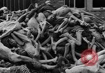 Image of prisoners Dachau Germany, 1945, second 28 stock footage video 65675055242