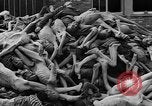 Image of prisoners Dachau Germany, 1945, second 29 stock footage video 65675055242