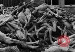 Image of prisoners Dachau Germany, 1945, second 32 stock footage video 65675055242