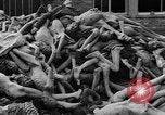 Image of prisoners Dachau Germany, 1945, second 35 stock footage video 65675055242
