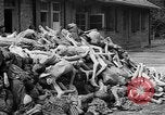 Image of prisoners Dachau Germany, 1945, second 37 stock footage video 65675055242