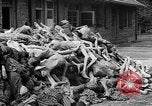 Image of prisoners Dachau Germany, 1945, second 39 stock footage video 65675055242