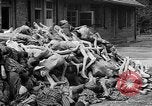 Image of prisoners Dachau Germany, 1945, second 40 stock footage video 65675055242