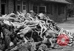 Image of prisoners Dachau Germany, 1945, second 41 stock footage video 65675055242