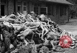 Image of prisoners Dachau Germany, 1945, second 42 stock footage video 65675055242