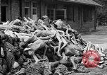 Image of prisoners Dachau Germany, 1945, second 43 stock footage video 65675055242