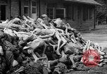 Image of prisoners Dachau Germany, 1945, second 47 stock footage video 65675055242