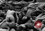 Image of prisoners Dachau Germany, 1945, second 48 stock footage video 65675055242