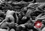 Image of prisoners Dachau Germany, 1945, second 49 stock footage video 65675055242