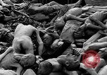 Image of prisoners Dachau Germany, 1945, second 50 stock footage video 65675055242