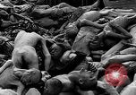 Image of prisoners Dachau Germany, 1945, second 54 stock footage video 65675055242