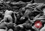 Image of prisoners Dachau Germany, 1945, second 55 stock footage video 65675055242