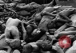 Image of prisoners Dachau Germany, 1945, second 59 stock footage video 65675055242