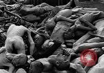 Image of prisoners Dachau Germany, 1945, second 60 stock footage video 65675055242