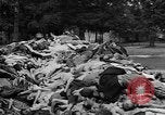 Image of prisoners Dachau Germany, 1945, second 61 stock footage video 65675055242