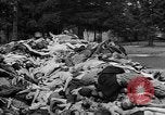 Image of prisoners Dachau Germany, 1945, second 62 stock footage video 65675055242
