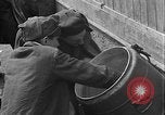 Image of prisoners Dachau Germany, 1945, second 28 stock footage video 65675055243
