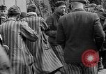 Image of prisoners Dachau Germany, 1945, second 35 stock footage video 65675055243
