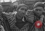 Image of prisoners Dachau Germany, 1945, second 61 stock footage video 65675055243