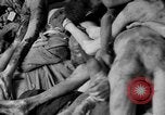 Image of prisoners Dachau Germany, 1945, second 50 stock footage video 65675055245