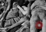 Image of prisoners Dachau Germany, 1945, second 51 stock footage video 65675055245