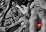 Image of prisoners Dachau Germany, 1945, second 53 stock footage video 65675055245